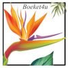 Logo Boeket4u