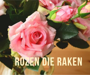 Banner Surprose – “Rozen die raken”, lichtroze rozen