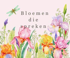 bruin oranje herfst instagram bericht (300 x 250 px)