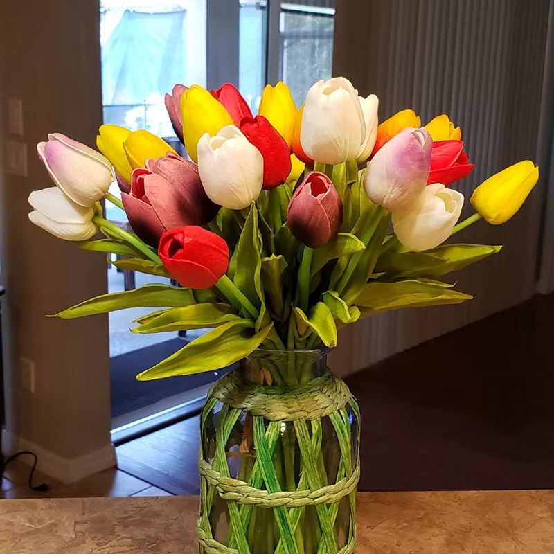 s253ba7864ffd41a5a4c3edf56bcd8cf8n