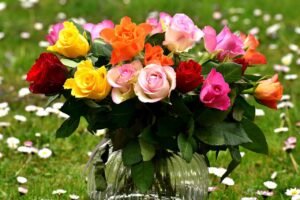roses, ostrich, flower, flower wallpaper, vase, multicoloured, gift, flower background, meadow, daisy, bouquet of roses, bunch of flowers, beautiful, beautiful flowers, congratulations, nature