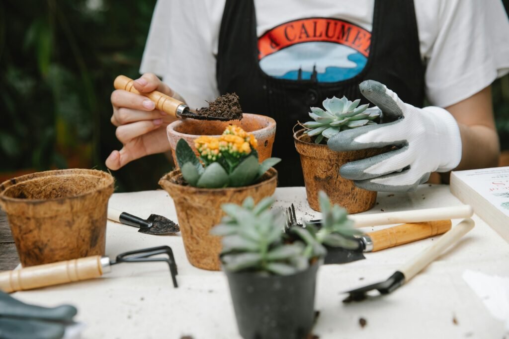 Crop anonymous female gardener with soil on spade planting succulents at table with different instruments
